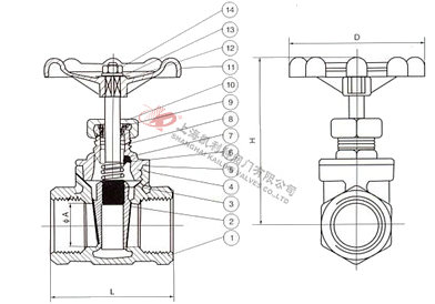 Z11H絲口閘閥外形結(jié)構(gòu)圖