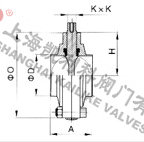 D81X衛生蝶閥外形結構圖