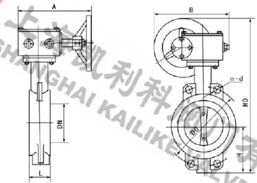 D371X軟密封蝶閥外形結構圖
