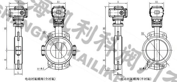 D971F46電動對夾襯氟塑料蝶閥外形結構圖