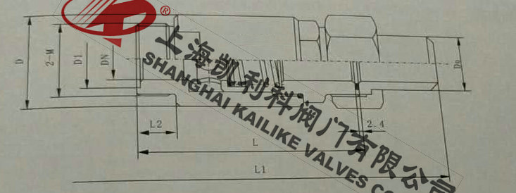 H21X高壓氣體止回閥外形結構圖