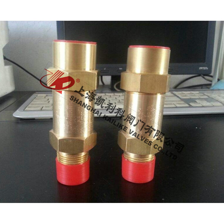 SFA22C-300T冷凍機(jī)安全閥 SFA22C-300T冷凍機(jī)安全閥