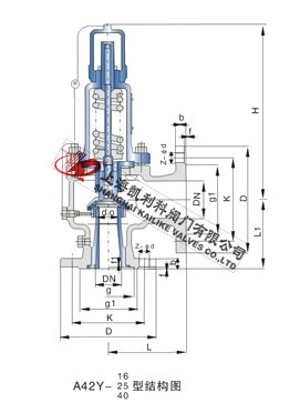 A42H、A42Y氧氣安全閥外形結構圖